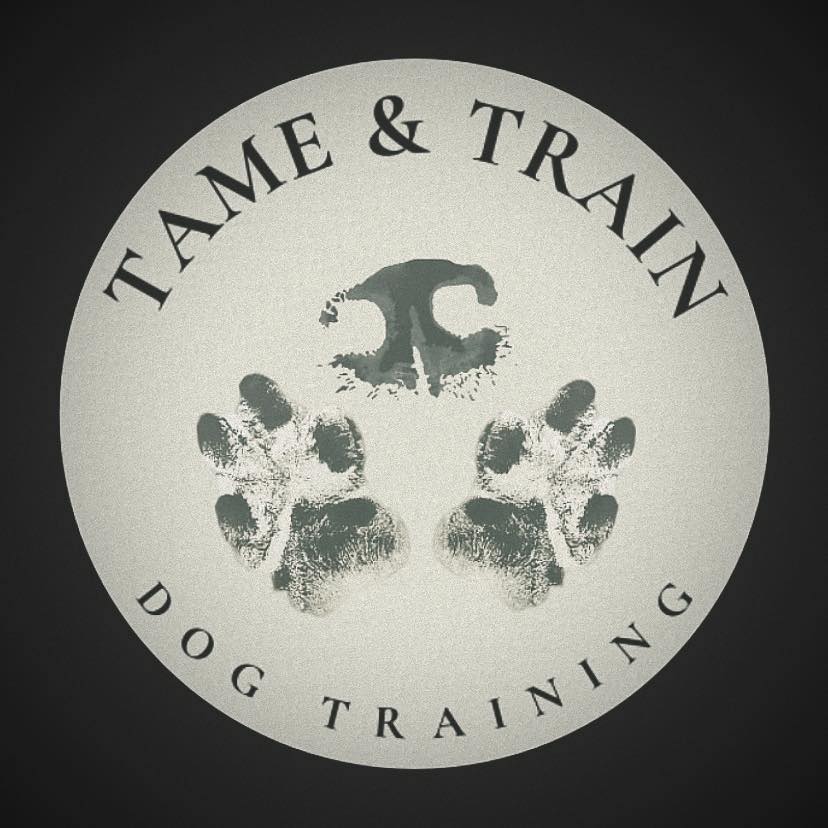 Tame and Train Dog Training